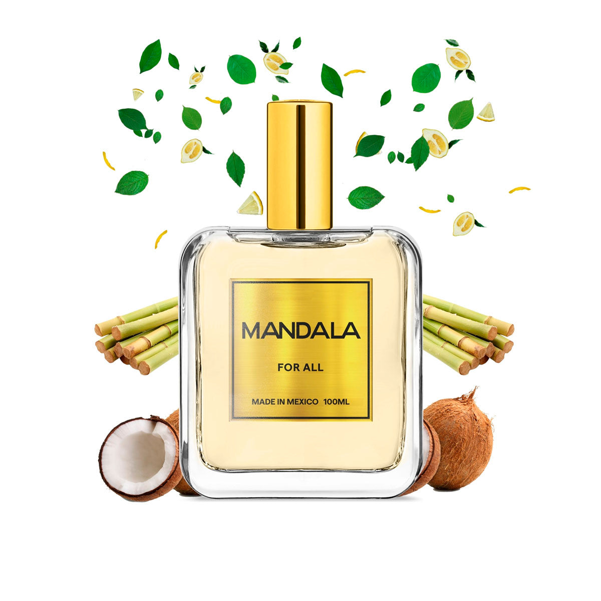 Perfume Unisex Mandala Tropical Serenade Coco 100ml