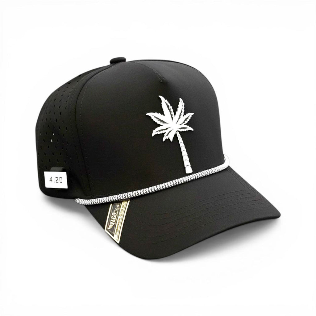 VAGO PALMOTA Gorra Dryfit Visera Curva Black