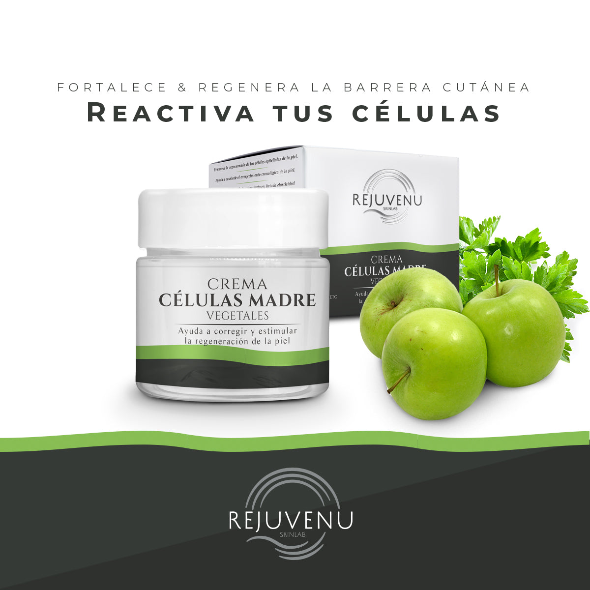 Kit facial crema antiarrugas y células madre Rejuvenu