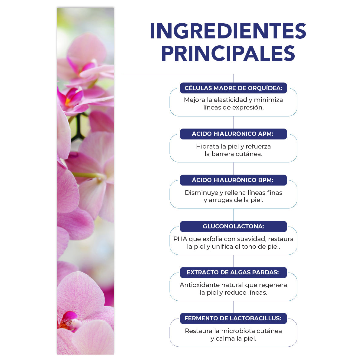 Pack BE AES serum facial contorno de ojos y pantalla solar