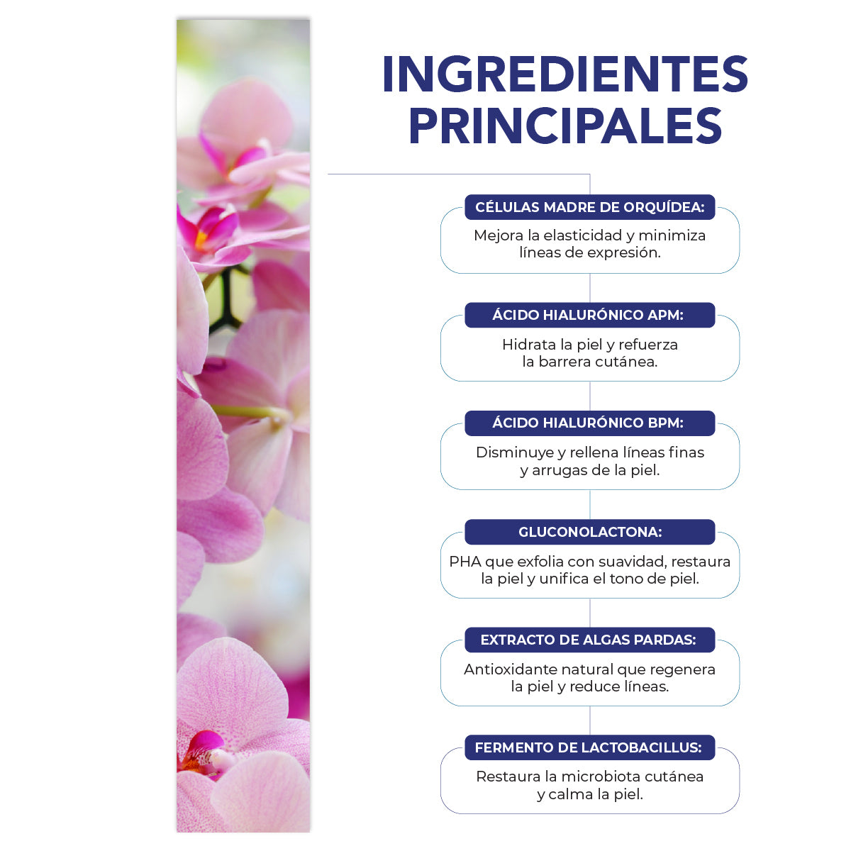 Serum facial BE AES células madre y ácido hialurónico 50 ml